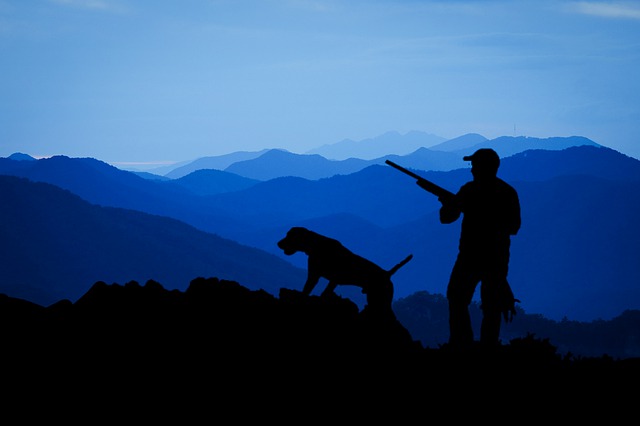 打猎 猎人 动物狩猎 - 上的免费图片