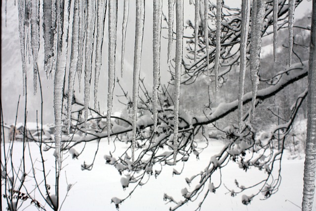 冬天 雪 库马约尔 - 上的免费照片