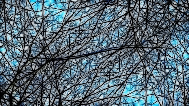 神经元 单元格 轨 - 上的免费图片