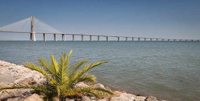达伽马大桥 桥Vasco De Gama 里斯本 - 上的免费照片