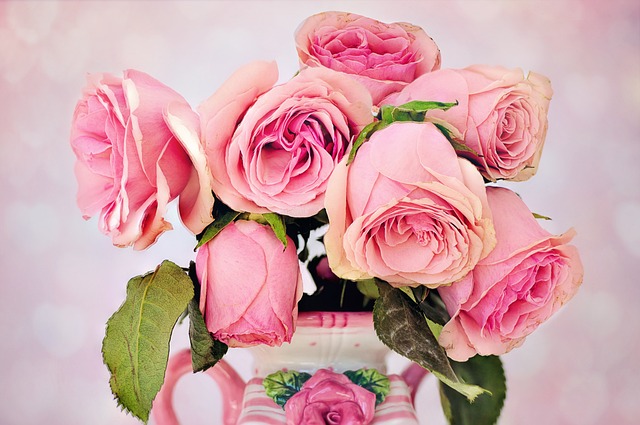 玫瑰 花朵 花的 - 上的免费照片