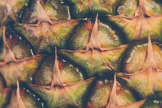 菠萝 水果 热带 - 上的免费照片