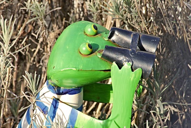 青蛙 望远镜 张紧器 - 上的免费照片