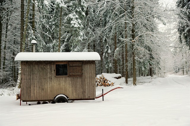 雪 冬天 木头 - 上的免费照片