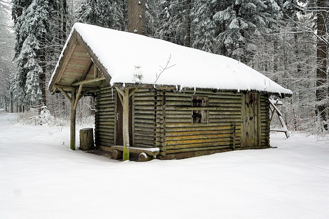 冬天 雪 木头 - 上的免费照片
