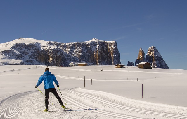 越野滑雪 Skatin Seiser Alm - 上的免费照片
