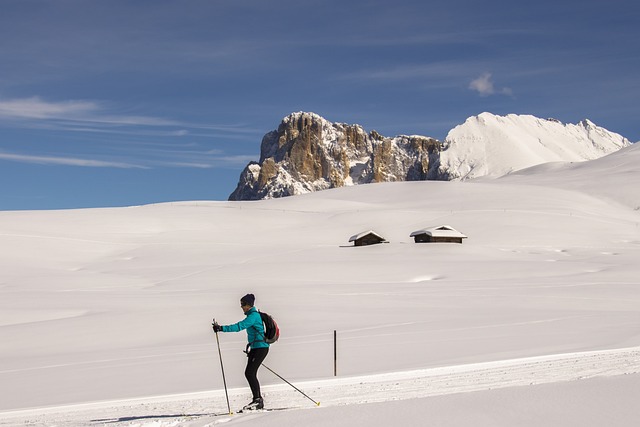 越野滑雪 Seiser Alm 雪 - 上的免费照片