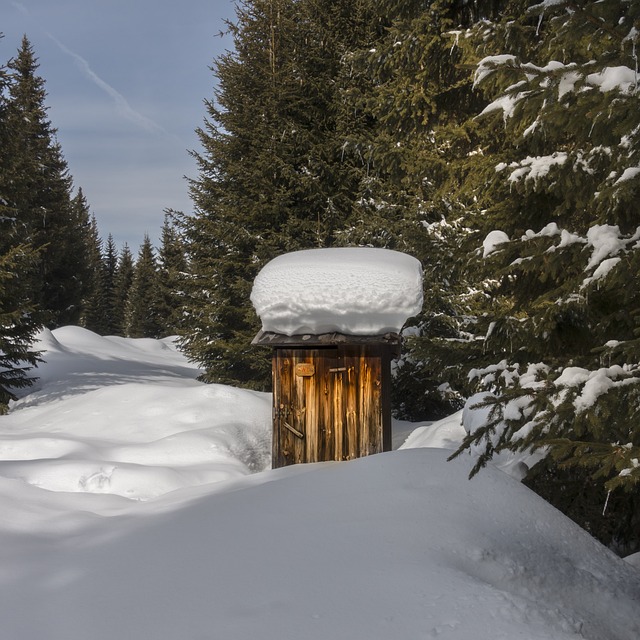 厕所 Toilettenhaus 雪 - 上的免费照片