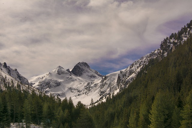 山 雪 全景 - 上的免费照片