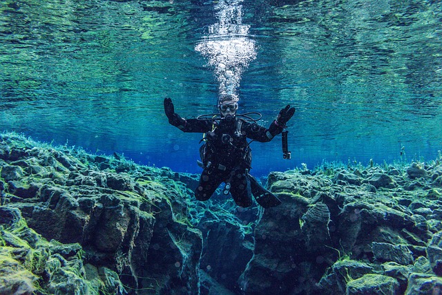 水下 发现的旅程 水域 - 上的免费照片