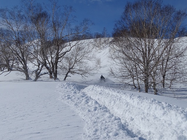 冬季 雪地摩托 度假 - 上的免费照片