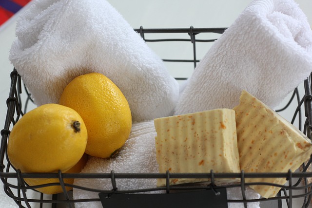 食物 柠檬香皂 椰子油香皂 - 上的免费照片