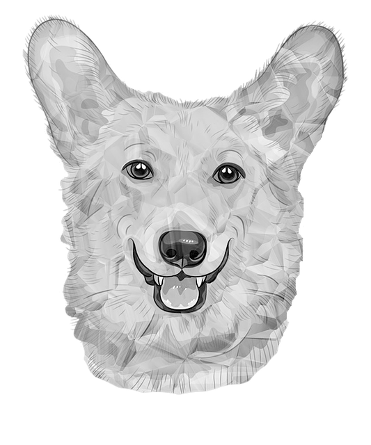 狗 德国狗 白色的狗 - 上的免费图片