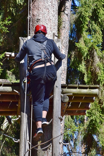 爬 高空绳索课程 攀登花园 - 上的免费照片