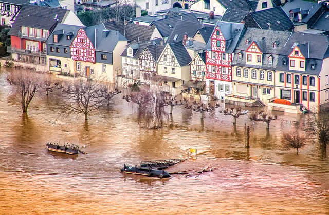 洪水 莱茵河 莱茵兰普法尔茨 - 上的免费照片