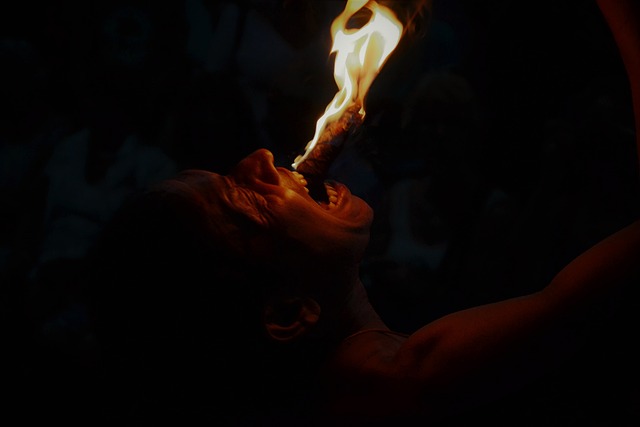 火 食火者 火焰 - 上的免费照片