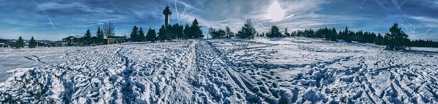 雪 冬天 霜 - 上的免费照片