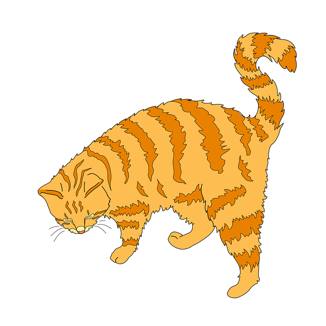 猫 姜黄色的猫 可爱猫咪 - 上的免费图片