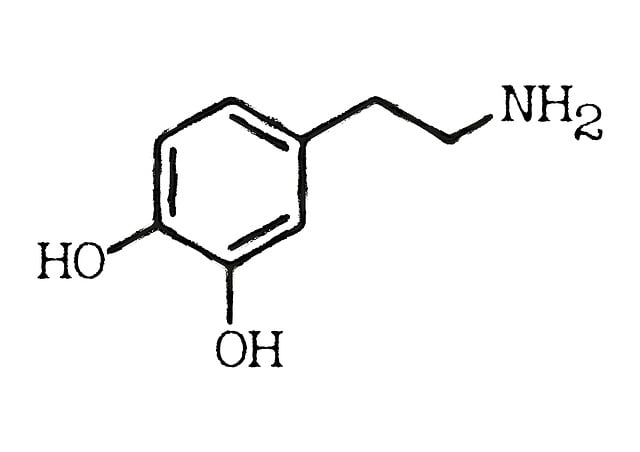 多巴胺 这 感觉 - 上的免费图片