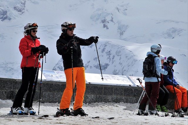 阿尔卑斯山 滑雪 滑雪者 - 上的免费照片