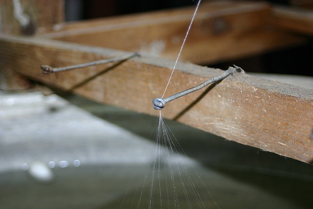 螺纹丝 蚕 线蜘蛛 - 上的免费照片