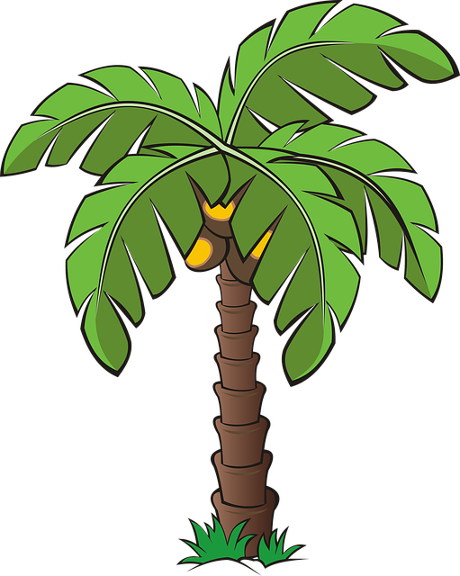 树 树木 棕榈 - 上的免费图片