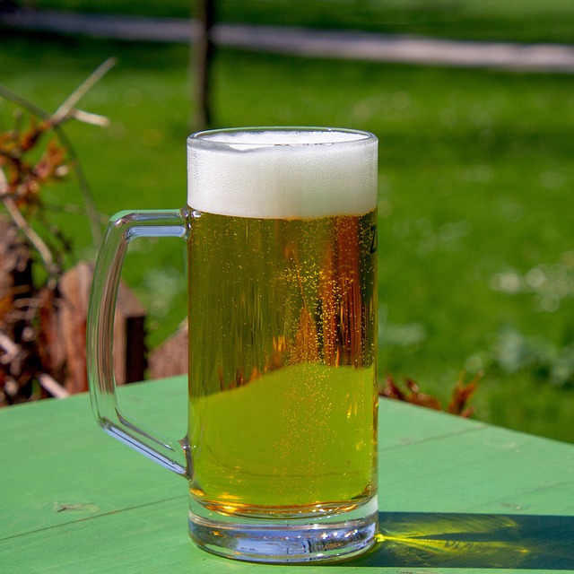 啤酒 啤酒玻璃 泡沫 - 上的免费照片