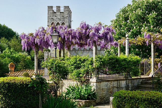 托斯卡纳 花园 花 - 上的免费照片
