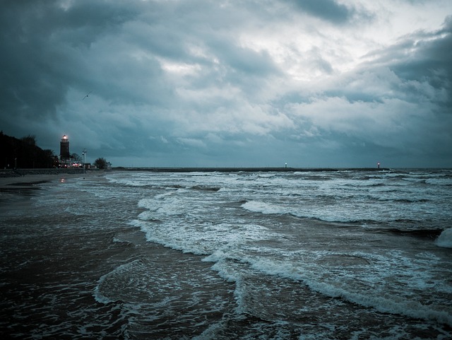 整体的一部分水域 海 海岸 - 上的免费照片