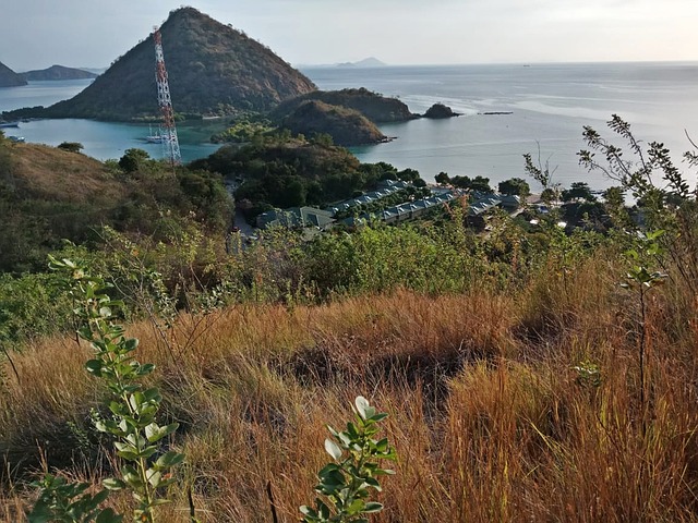 海 海滩 天空 - 上的免费照片