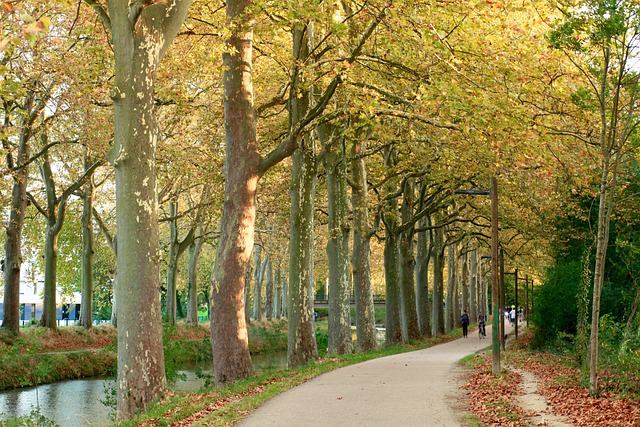 Canaldumidi 图卢兹 自然 - 上的免费照片