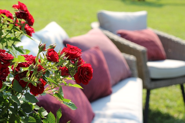 红玫瑰 扶手椅 松弛 - 上的免费照片
