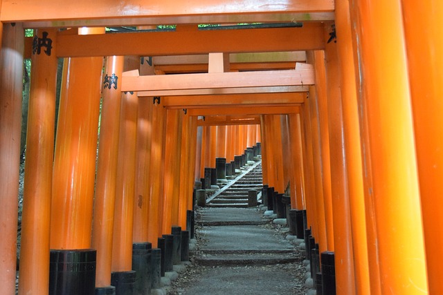 京都 伏见稻荷神社 千本鸟居 - 上的免费照片