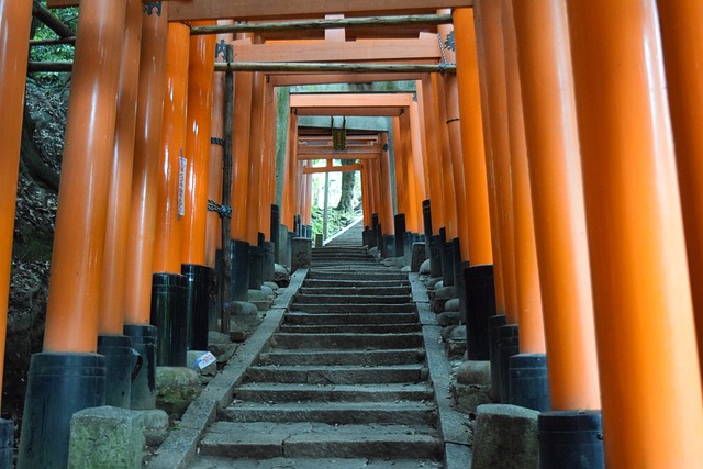 京都 伏见稻荷神社 - 上的免费照片