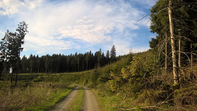 泥路 踪迹 Sauerland - 上的免费照片