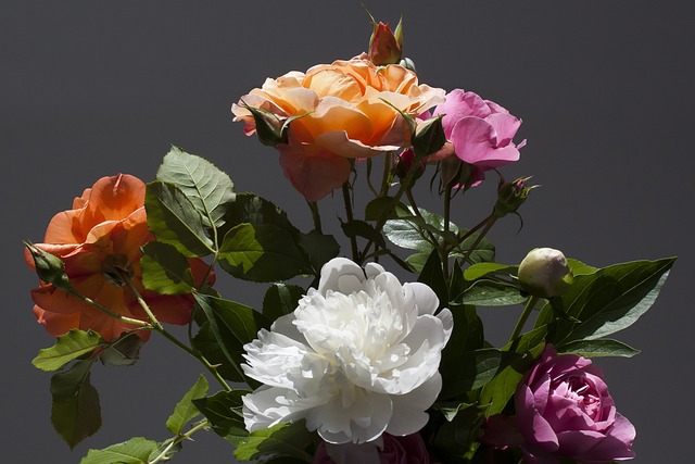五旬节 一束花朵 玫瑰 - 上的免费照片