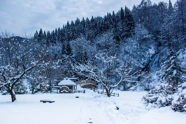 日本 冬季 四个季节 - 上的免费照片