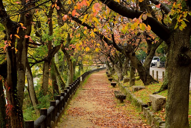 冈山 红色的 黄色 - 上的免费照片