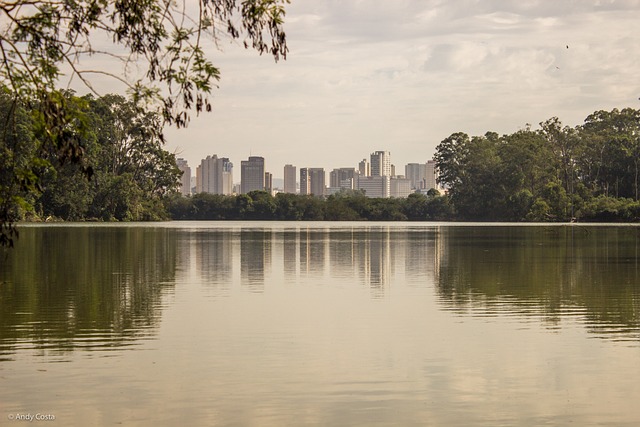 公园 湖 自然 - 上的免费照片