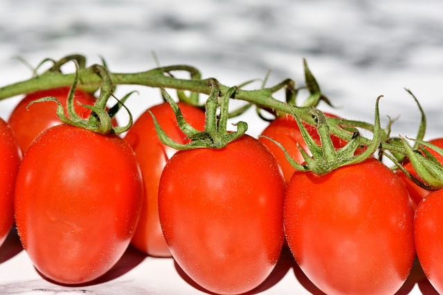番茄 藤番茄 蔬菜 - 上的免费照片