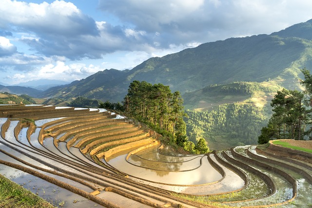 季节，倒水 移植水稻 少数民族 - 上的免费照片