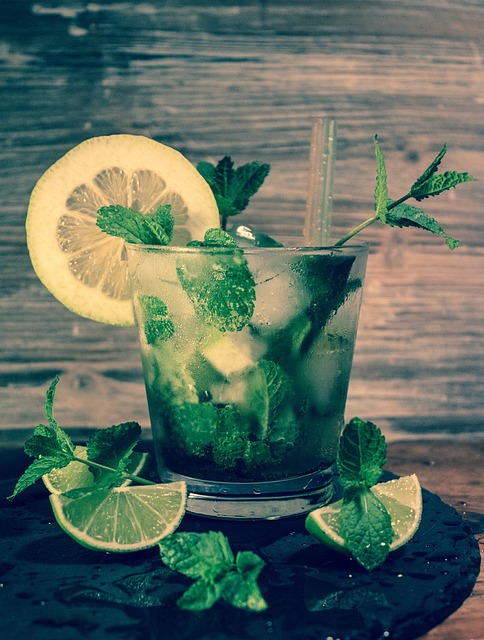 Mojito 朗姆酒 鸡尾酒 - 上的免费照片