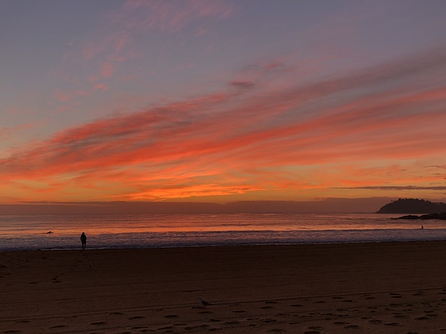 日出 清晨 海洋 - 上的免费照片