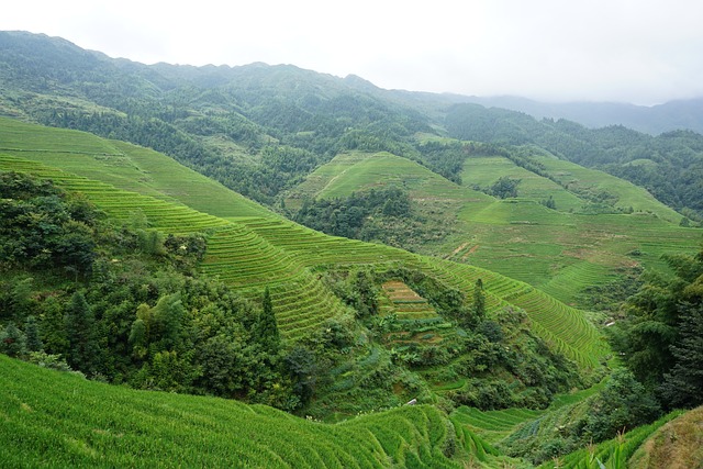 龙胜 中国 梯田 - 上的免费照片