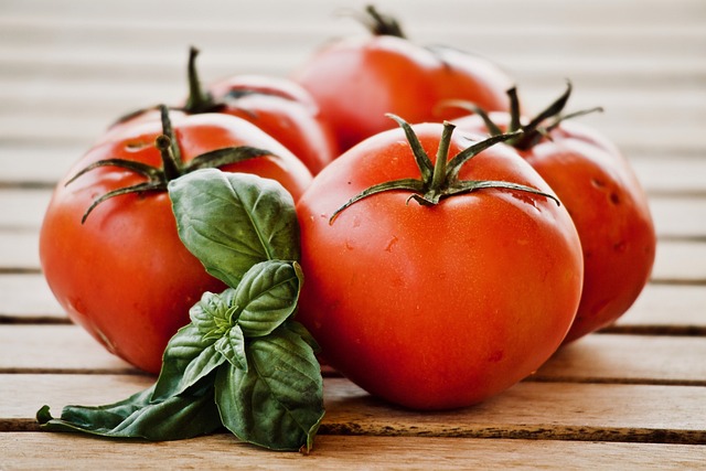 西红柿 罗勒 食物 - 上的免费照片