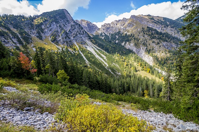 山 Karwendel 阿尔卑斯山 - 上的免费照片