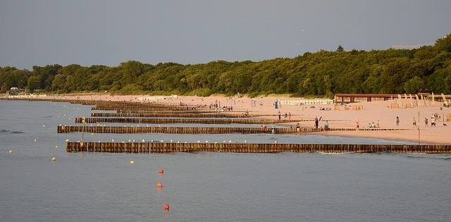 波罗的海 海滩 海 - 上的免费照片