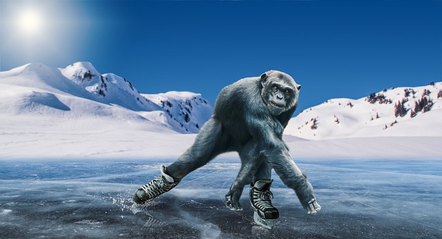 黑猩猩 滑冰 冬季运动 - 上的免费照片
