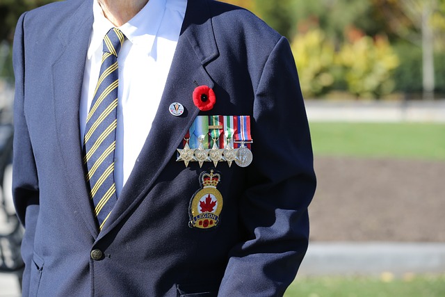纪念日在加拿大 军事人员 罂粟节 - 上的免费照片