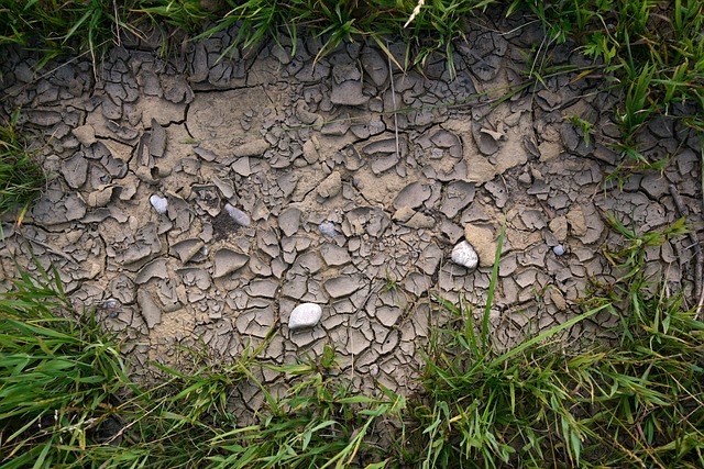 地球 干燥 干旱 - 上的免费照片